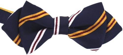 Tok Tok Designs Handmade Boys Bow Ties - BK284 (Navy Blue)
