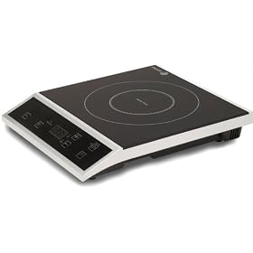 Buy Fagor Countertop Induction Burner