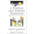 A Strange and Strong Sensation: Symbolic Modelling - Change with Metaphor