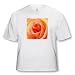 Peach Rose - Toddler T-Shirt (2T)