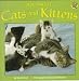 Books : All About Cats and Kittens