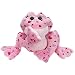 Webkinz Love Frog Limited Edition Release