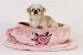 Tea Cup Dog Bed - 30 1/2 Circle by Haute Diggity Dog