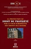 Revue Emile Bruylant  / La protection du droit de propriété par la cour européenne des Droits de l'Homme