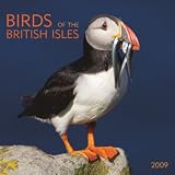 Birds of the British Isles 2009 Square Wall Calendar