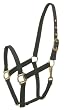 Gatsby Classic Nylon Halter w/Snap Gatsby Classic Nylon Halter w/Snap