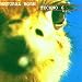 Ra-X-Natural Born Techno, Vol. 6