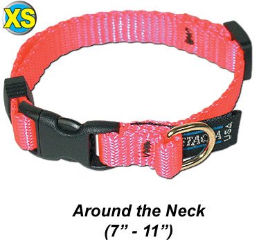 Cetacea – 3/8″ XS Adj Collar 7-11″ Step 6 Baby Pink
