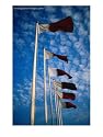 National Flags, Qatar Education Photographic Poster Print by Chris Mellor, 24x32