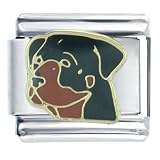 Rottweiler Animal Italian Charms Bracelet Link