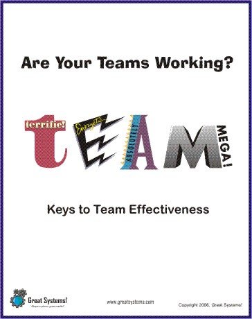 Are Your Teams Working? Team Effectiveness