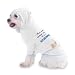 You can't scare me I'm a Daycare Provider Hooded (Hoody) T-Shirt with pocket for your Dog or Cat MEDIUM White
