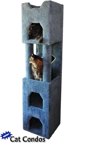 6' Tall Cat