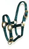 Hamilton 8DA SMDG 3/4-Inch Nylon Adjustable Arabian Horse Halter for 500 to 800-Pound Horse, Dark Green