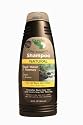Sante Natural Color Enhancing Shampoo with Black Walnut + Rosemary (14 Fl Oz) - For All Black Hair Tones - Intensifies Black Color Hair and Covers Gray Hair Naturally