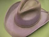 Purple Felt CowGirl Tea Stained Western Hat. Red Hat Ladies Society Too!