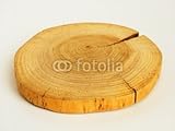 IMAGE OF Wallmonkeys Peel and Stick Wall Decals - Wood Slice - 18