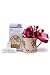 Audubon Shade Grown Coffee, Rainforest Blend & Handpainted Mug Gourmet Coffee Gift Basket