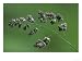 Cocksfoot, Raindrops on Paniclesmay, England Photographic Poster Print by Mark Hambli...