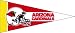 Football Pennants: NFL Mini Arizona Cardinals Pennant