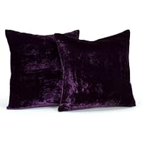 Newpoint Velvet 18-Inch-by-18-Inch Feather and Down Filled Pillows, Purple, 2-Pack
