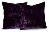 Newpoint Velvet 18-Inch-by-18-Inch Feather and Down Filled Pillows, Purple, 2-Pack