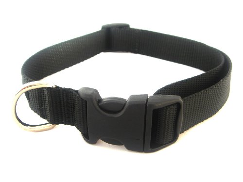 Small Black Nylon Webbing Dog Collar: 5/8