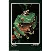 (24x32) National Geographic Society (Giant Leaf Frog, South America) Art Poster Print