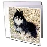 Dogs Pomeranian - Black and Tan Pomeranian - Greeting Cards-6 Greeting Cards with envelopes