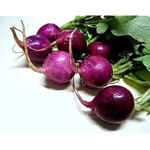 Radishes