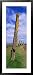Ring of Brodgar, Orkney Islands, Scotland, United Kingdom Places Framed Art Poster Print by Panoramic Images, 19x43