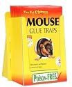 STV Mouse Glue Trap RTU Twinpack 4 PER PACK