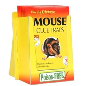 STV Mouse Glue Trap Ready to use - total of 4 traps