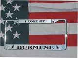 CHROME LASER ENGRAVED LICENSE PLATE FRAME BURMESE CAT