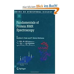 Fundamentals of Protein NMR Spectroscopy (Focus on Structural Biology)