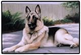 2 Pack of German Shepherd Porch Doormat