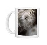 Clematis seed head Photo Mugs