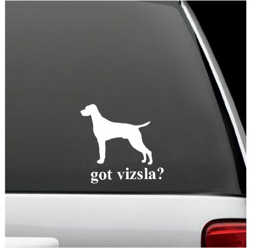 got vizsla? White Decal Sticker Dog Bumper Laptop Car White Decal Sticker 5