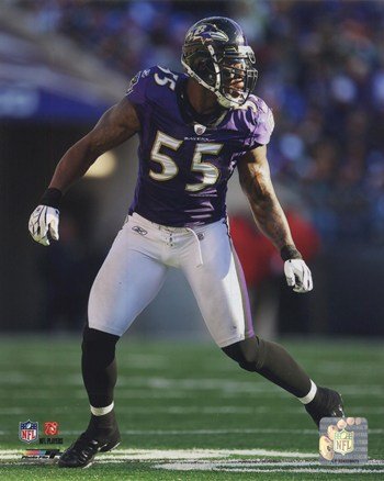 Terrell Suggs 2010 Action - Licensed Photo by PhotoFile (8x10)