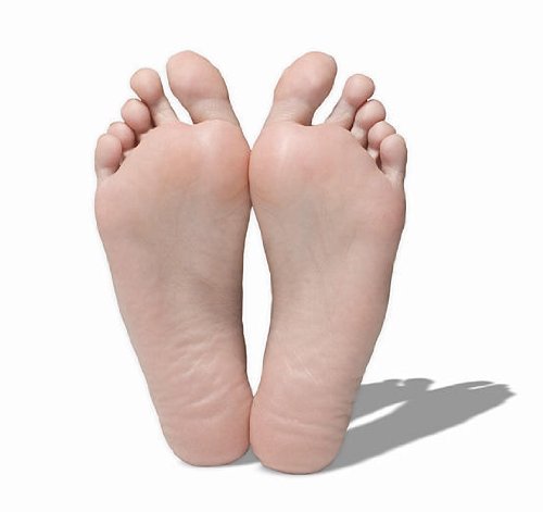 Detox Foot Pads - 10 Patches *Helps combat fatigue