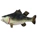 BSN Deluxe Rubber Bass