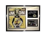 Jimmie Johnson Champ 2006