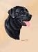 labrador13  - Black Labrador Retriever Lab Playing Cards Art by