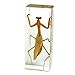 REALBUG Praying Mantis Paperweight (1 5/8 x 4 3/8 x 1 1/8