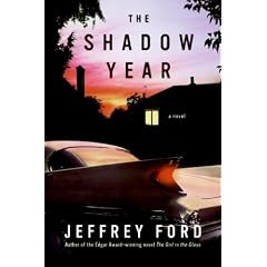 The Shadow Year