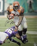 Rudi Johnson Autographed/Hand Signed Cincinnati Bengals 16x20 Photo minor ding