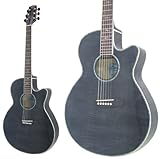 TAKAMINE Cooder TCP-560/STBK �G���A�R�M�^�[