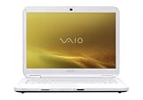 Sony VAIO VGN-NS110E/W 15.4-Inch Laptop (2.0 GHz Intel Pentium Dual-Core T3200 Processor, 2 GB RAM, 160 GB Hard Drive, Vista Premium) White