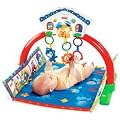 Fisher-Price 2-in-1 Playful Puppy Gym