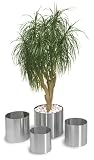 Blomus 65104 GREENS Blumentopf auf Rollen &Oslash; 30 cm